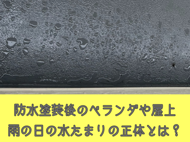 基本を学ぶのコピー – 2025-03-06T144707.269のサムネイル