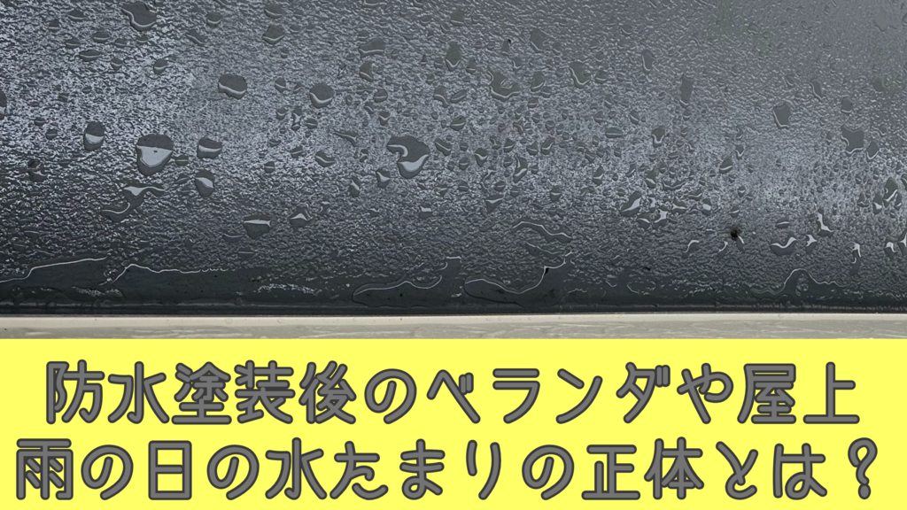 基本を学ぶのコピー – 2025-03-06T140856.416のサムネイル