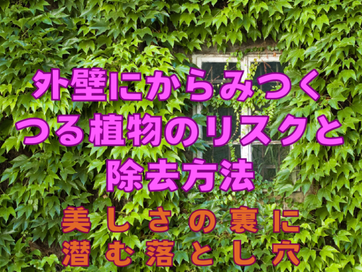 基本を学ぶのコピー – 2025-05-30T173255.848のサムネイル