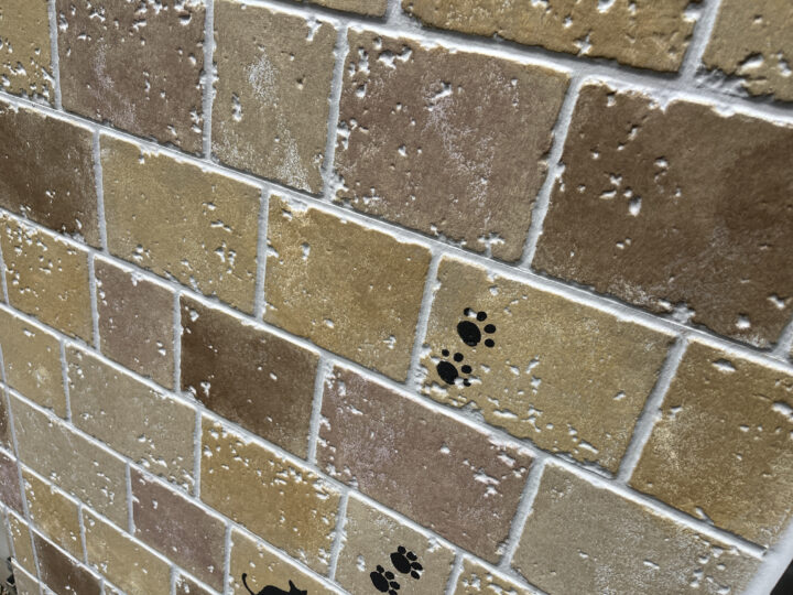 施工後『絵描く外壁塗装』